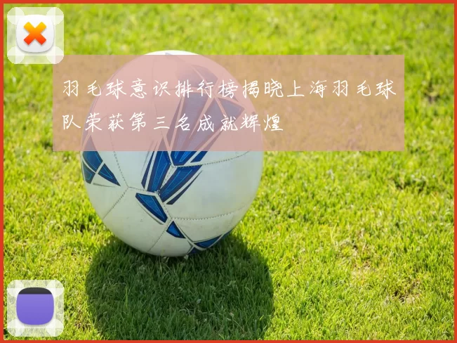 羽毛球意识排行榜揭晓上海羽毛球队荣获第三名成就辉煌