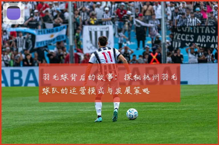 羽毛球背后的故事：探秘杭州羽毛球队的运营模式与发展策略