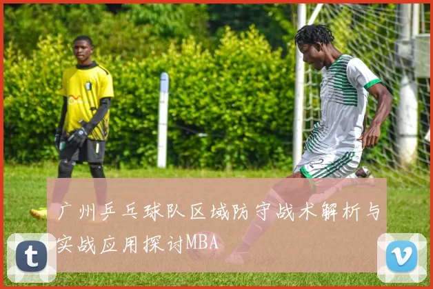 广州乒乓球队区域防守战术解析与实战应用探讨MBA