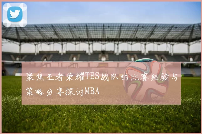 聚焦王者荣耀TES战队的比赛经验与策略分享探讨MBA