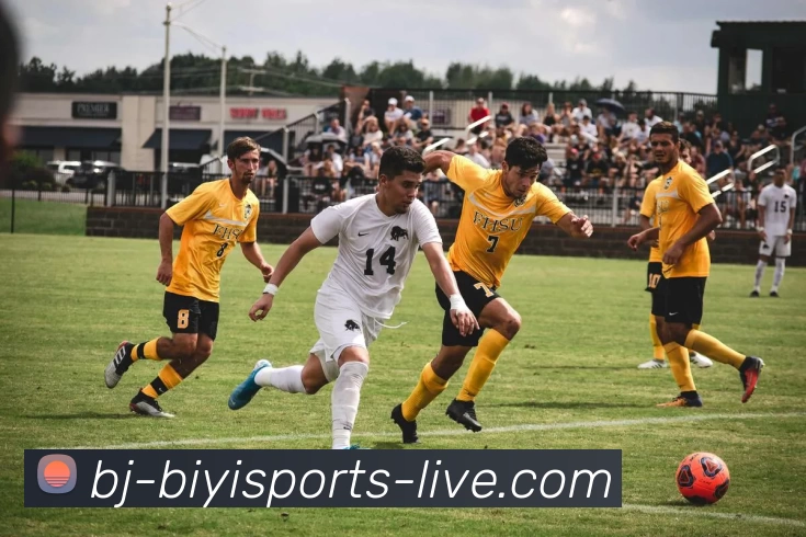 多媒体互动体验